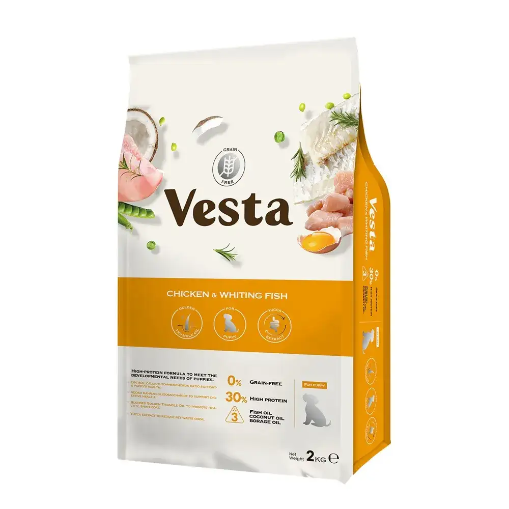 維斯塔Vesta